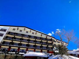 Hotel Kodama, hotel di Yamanouchi