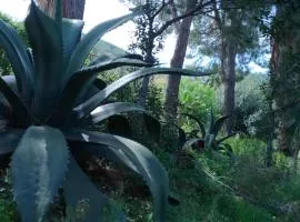 Room bagno in comune Green Villa Sea view
