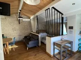 Maison en pierres, calme et authenticité vendéenne