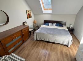 Apartament Leśna Ostoja Rychwałd, Hotel in Rychwałd