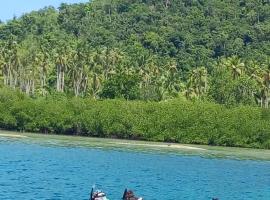 Mamere Homestay Raja Ampat, Hotel in Fam