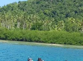 Mamere Homestay Raja Ampat