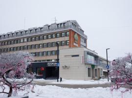 Dzukija Hotel, готель у місті Алітус