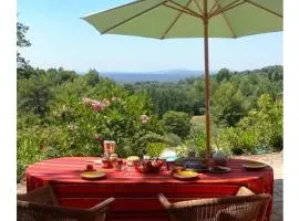 Mas provençal avec piscine