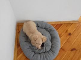 Передержка животных Зоогостинница Зооотель, Hotel in Hora