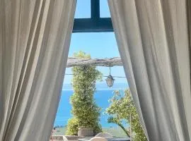 Villa in Gargano - VILLA BASSO