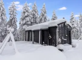 Holiday Home Visit pyhä cabins d by Interhome