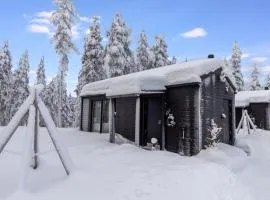 Holiday Home Visit pyhä cabins g by Interhome