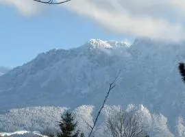 Rosels Mountain Lodge Pool Sauna Bergblick Oberaudorf