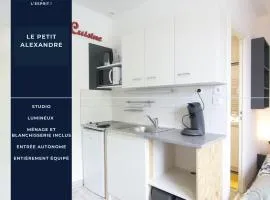 Le petit Alexandre, Appartement 25 m² centre Arras
