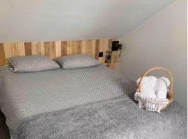 Petit Nid Douillet avec parking privé