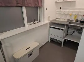 Private Guesthouse in Laugardalur Near Pool & Park