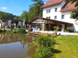 Penzion Javorský mlýn, Hotel in Lázně Bělohrad