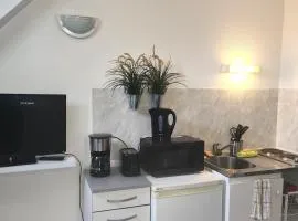 Le Studio Royal Place Victor Hugo