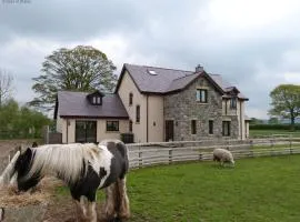 7 Bed in Caerwys oc-58357