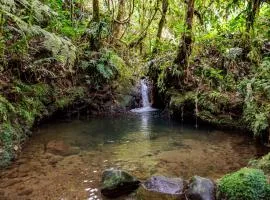 Boskoso Forest Retreat Jacuzzi & Waterfall