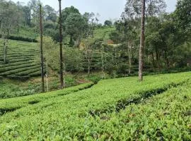 Valparai home villas
