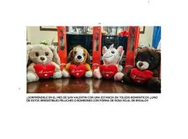 VIRGEN de ALFILERITOS