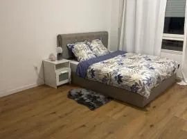 Bright and cozy studio