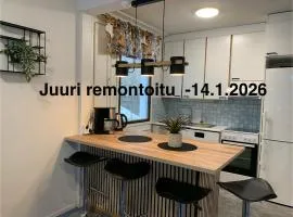 Tilava 2mh rivitalo, WiFi