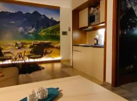 Apartment FIMM