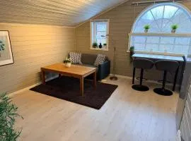 Cozy apartment in South of Norway!