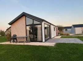 EuroParcs De IJssel Eilanden Chalet Reevemeer mit Steg IJE511