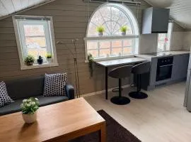 Cozy apartment in South of Norway!