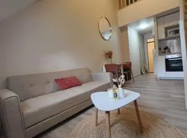 Le Nid de la Chouette - Dijon Historic Center