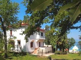 Apartment Azzurra