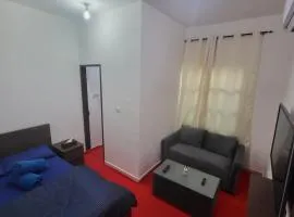 Central Full Studio Apartments