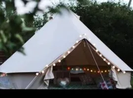 Wildberry glamping