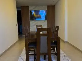 luxury apartment in the city center