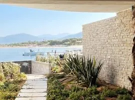 Rare T2 New, Waterfront