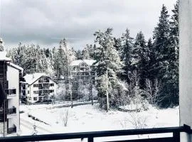 Borovets luxury studio