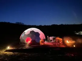 Jurassic Airstreams & Domes at Hartridge Springs Glamping