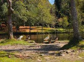La Casa del Lago Castiñeiras refugio para familias y amigos