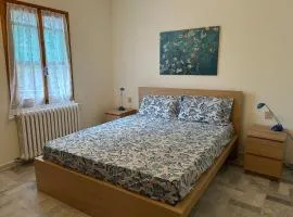 Discovering Apartment Pulicchio