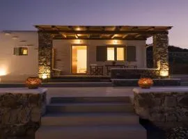 Premium Bright Design Villa with Pool