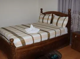 Mekane Lielt Hotel