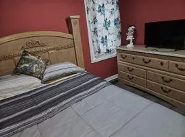 Downtown 2 Bedroom Main Floor Apartment