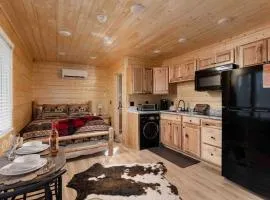 Relaxing Cabin studio in Heart of the tri cities