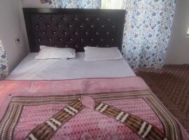 Alif inn home stay, hotel u gradu 'Srinagar'