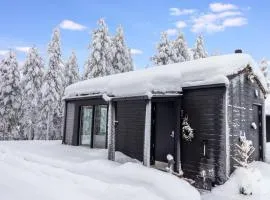 Holiday Home Visit pyhä cabins c by Interhome