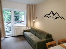 Rodinný Špic, hotel en Špičák