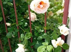 Centrum Kółko- Pokoje Gościnne