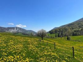 Apartment Schafmatthof 1 Obergeschoss by Interhome – hotel w mieście Gänsbrunnen