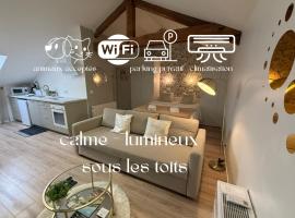 Petite Merveille sous les toits