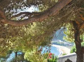 Apartments and studio with swimming pool and Sea View in Pelekas Beach, Corfu