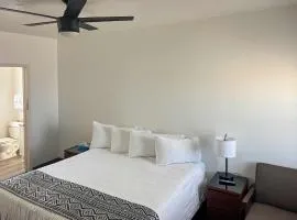 Cosmic Ashtray King Room